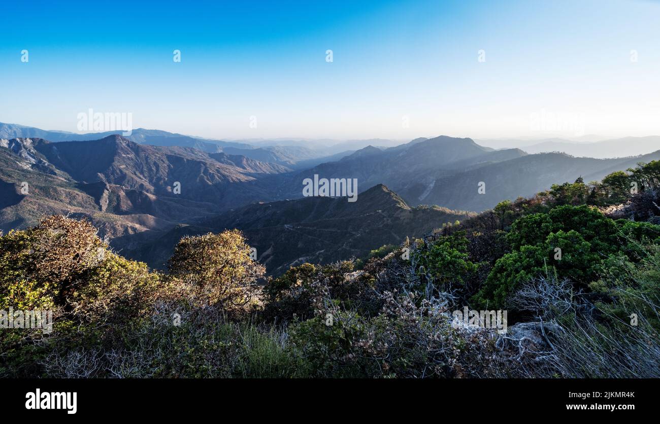 Vista de las montañas de Sierra Nevada, Parque Nacional Sequoia, California Foto de stock