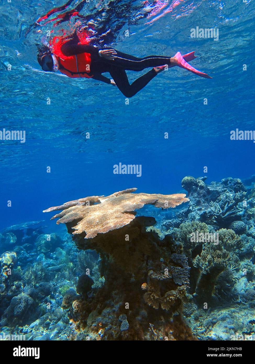 Indonesia Islas Anambas - Mujeres buceando en el arrecife de coral Foto de stock
