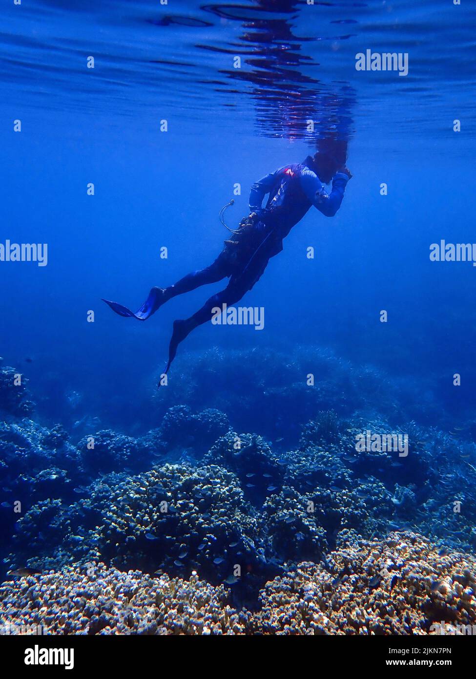 Indonesia Islas Anambas - Hombres buceando en el arrecife de coral Foto de stock