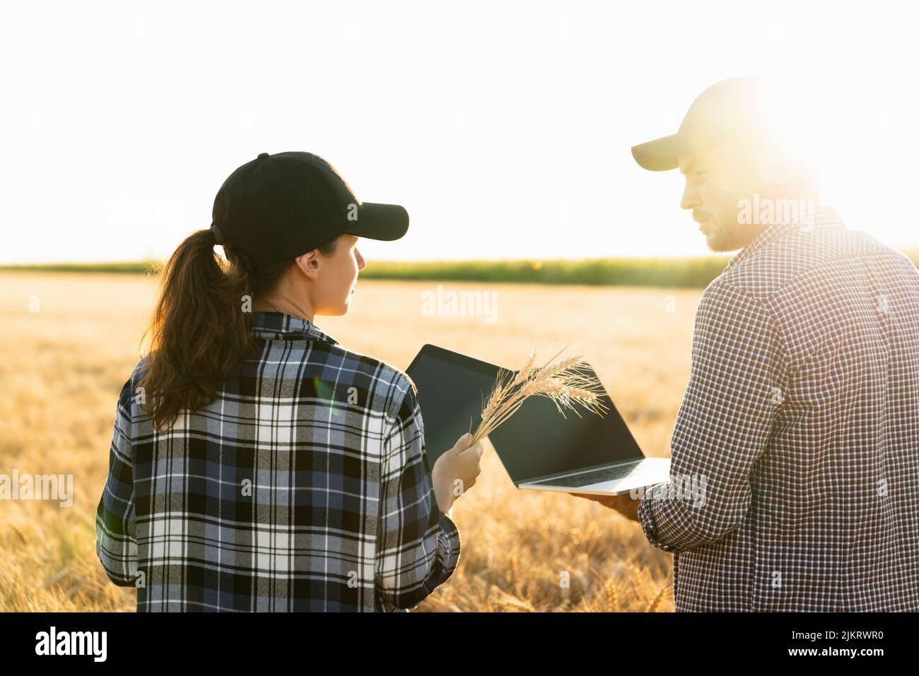Un par de agricultores examina el campo de los cereales y envía datos a la nube desde la tableta digital y el portátil. Agricultura inteligente Foto de stock
