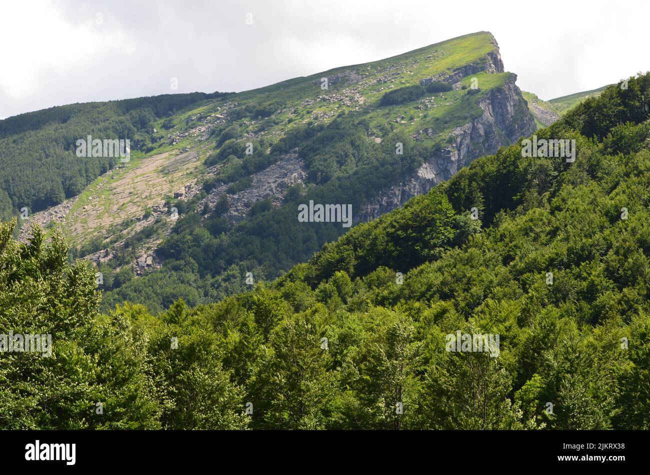 Parco Nazionale dell'Appennino Tosco-Emiliano, un parque nacional montañoso y boscoso en la frontera entre Toscana y Emilia-Romaña Foto de stock