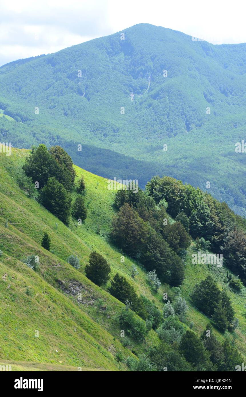 Parco Nazionale dell'Appennino Tosco-Emiliano, un parque nacional montañoso y boscoso en la frontera entre Toscana y Emilia-Romaña Foto de stock