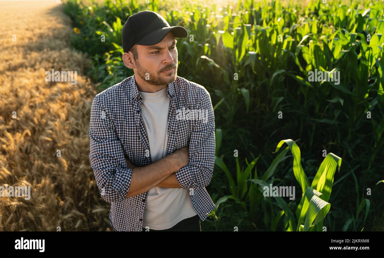 Granjero barbudo en una gorra y una camisa a cuadros contra el fondo de un campo de maíz Foto de stock