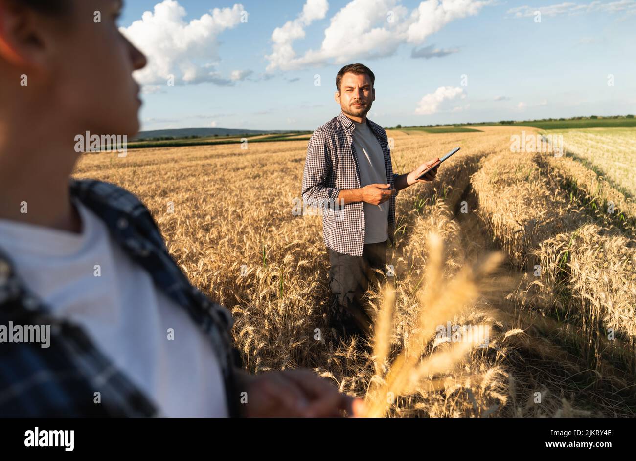 Un par de agricultores examina el campo de los cereales y envía datos a la nube desde la tableta. Agricultura inteligente y agricultura digital. Foto de stock