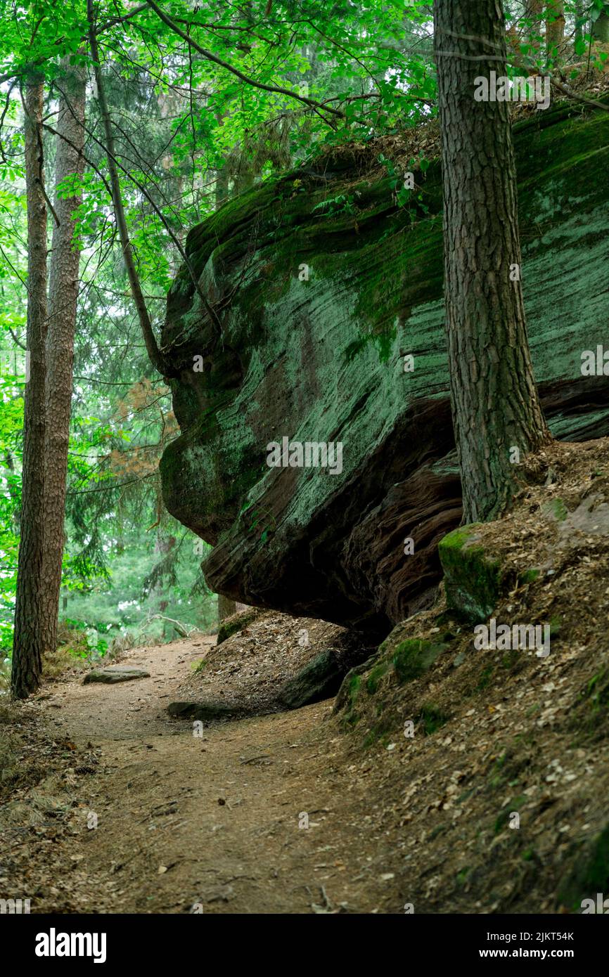 Formación de rocas en el bosque del Palatinado cerca de Weisenheim. La región es conocida por su piedra caliza y rutas de senderismo. Foto de stock