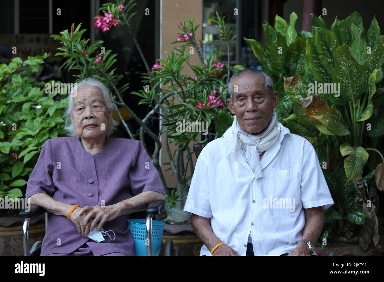 Una vieja pareja del este asiático sentada en el fondo de plantas grandes hermosas Foto de stock