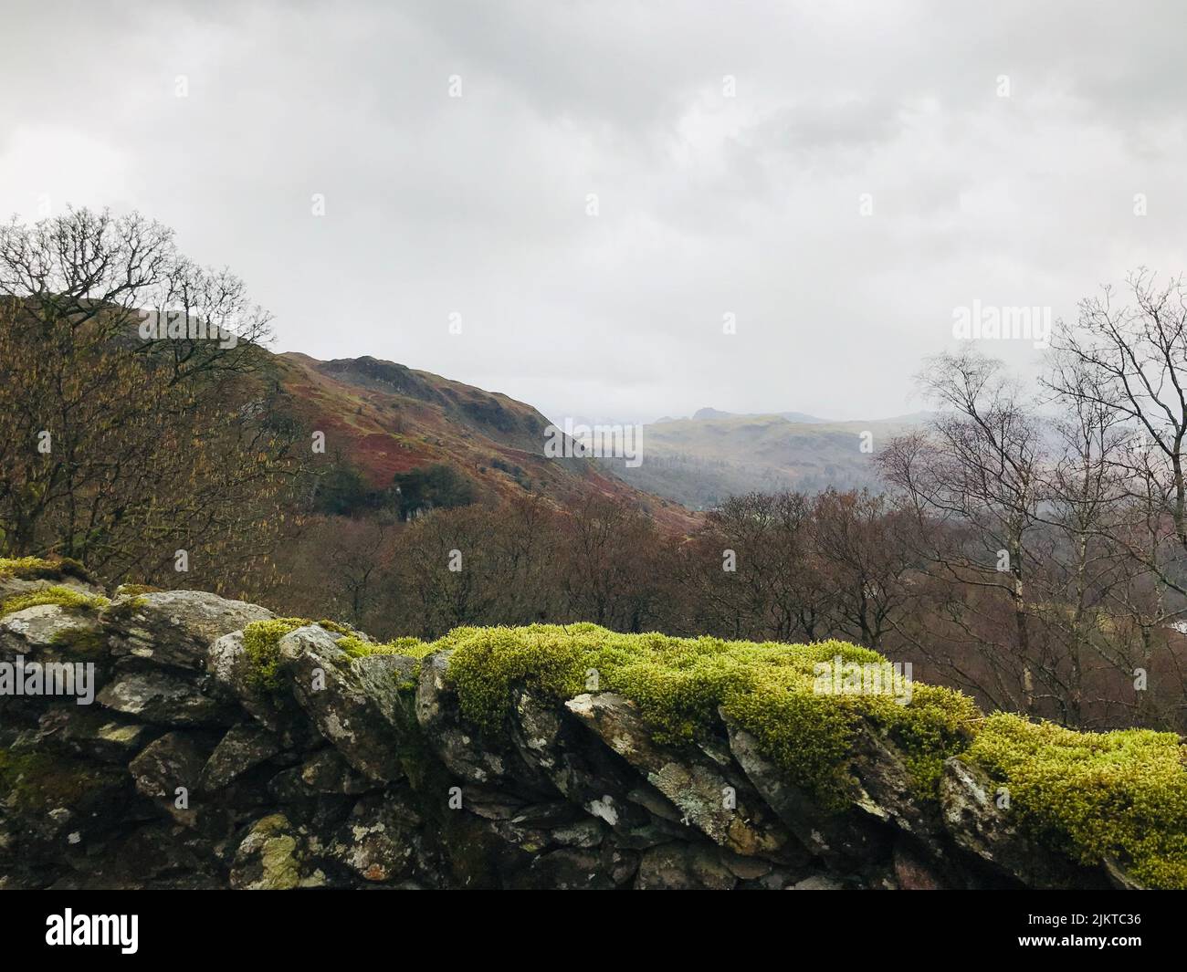 Naturaleza del Lake District, una región y parque nacional en Cumbria en el noroeste de Inglaterra Foto de stock