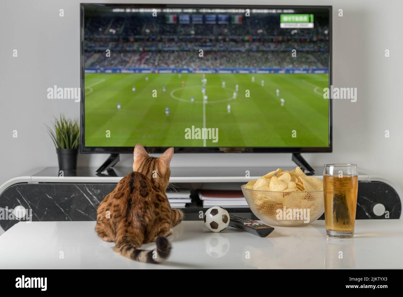 Viendo futbol en la television fotografías e imágenes de alta resolución -  Página 9 - Alamy