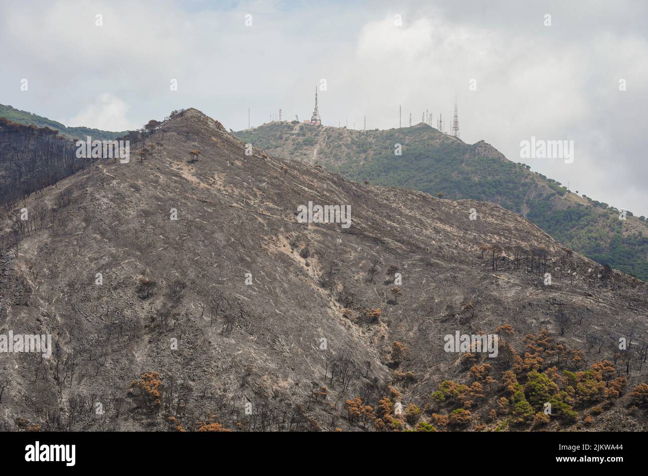Montañas españolas con bosques de pinos quemados después de incendios forestales, Mijas, Málaga, Andalucía, España Foto de stock