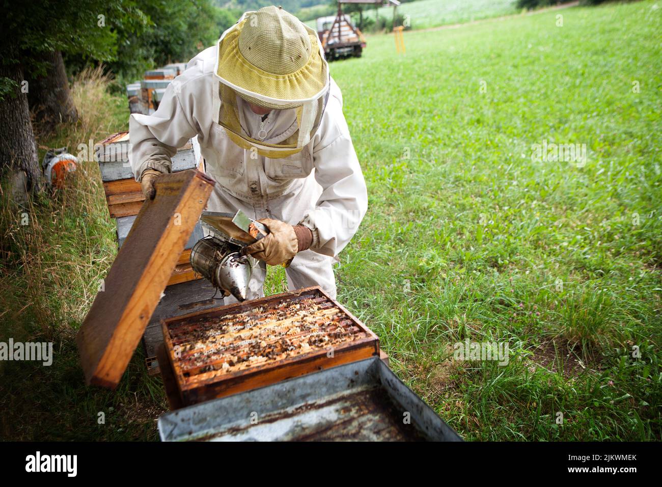 Cosecha de miel de un apicultor en Francia. Foto de stock