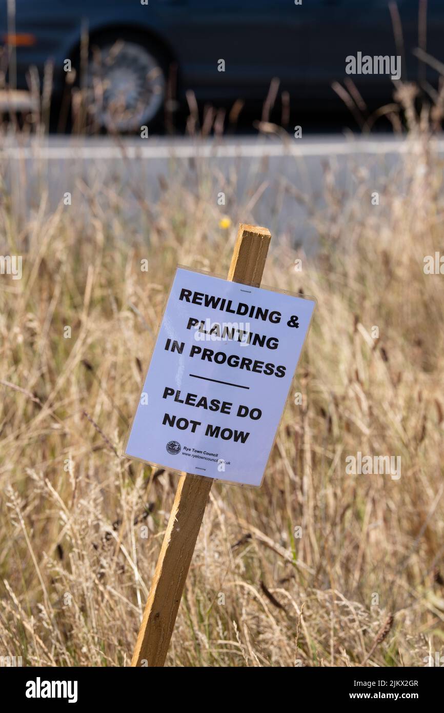 Unmown VERGE - El remarchitamiento y la plantación en curso por favor no siegue signo - Rye, Inglaterra, Reino Unido Foto de stock