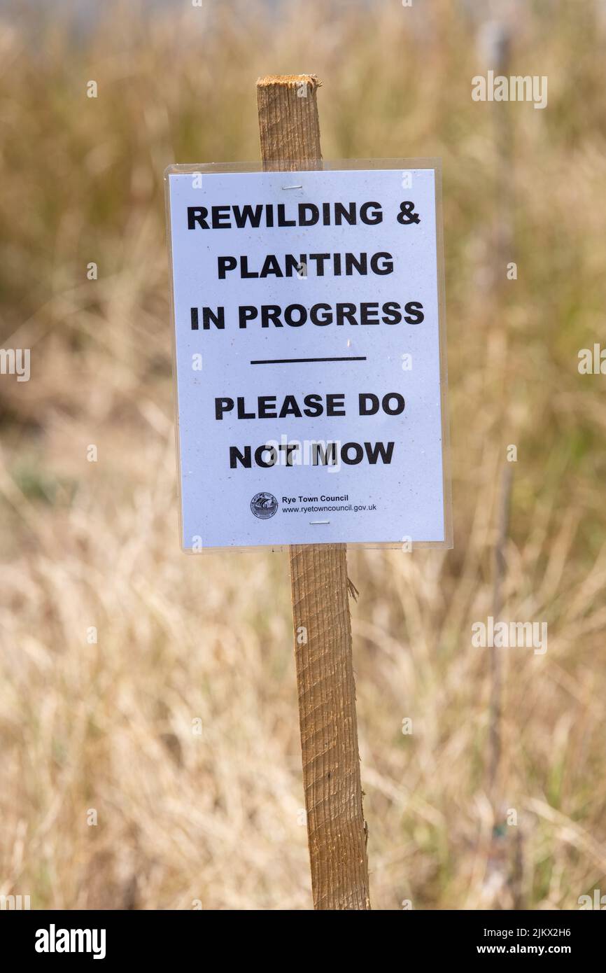 Unmown VERGE - El remarchitamiento y la plantación en curso por favor no siegue signo - Rye, Inglaterra, Reino Unido Foto de stock