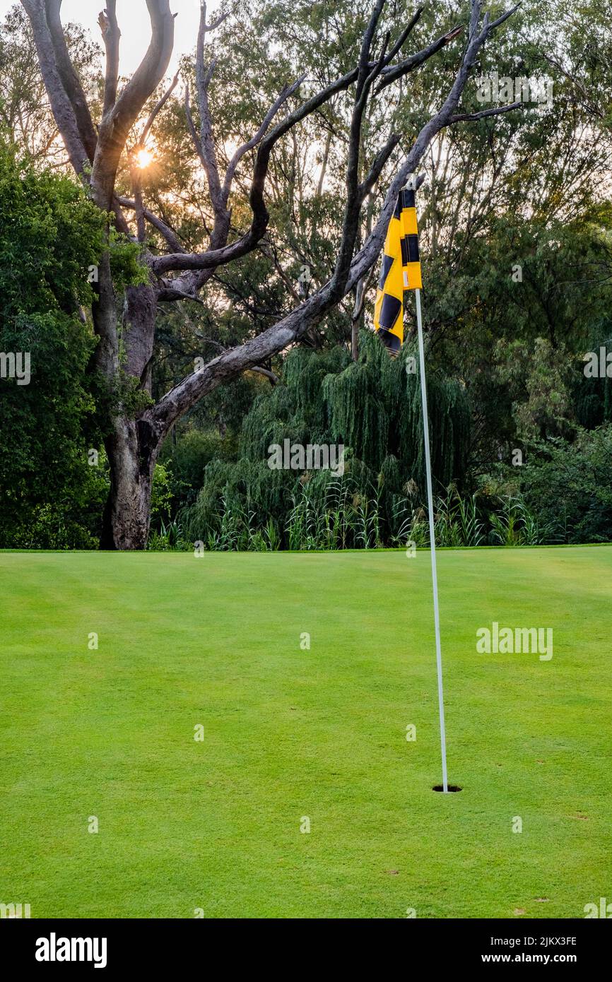 Un tiro vertical de una bandera amarilla y negra en el hoyo en el campo de golf verde grande Foto de stock