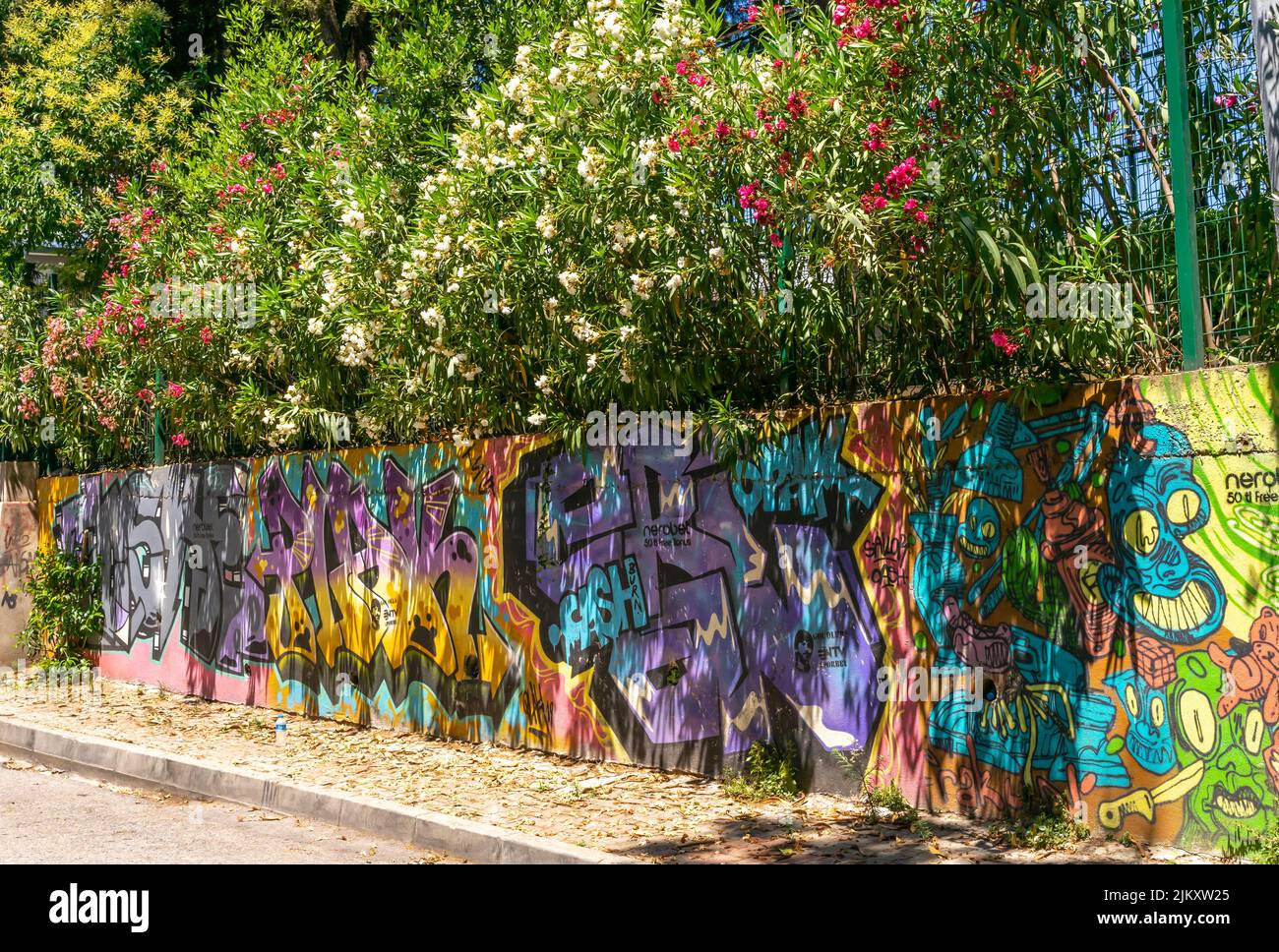 Valla cubierta con coloridos murales bajo los árboles en flor en Hülya Sk., Moda, Kadikoy, estambul, Turquía, Lado asiático Foto de stock