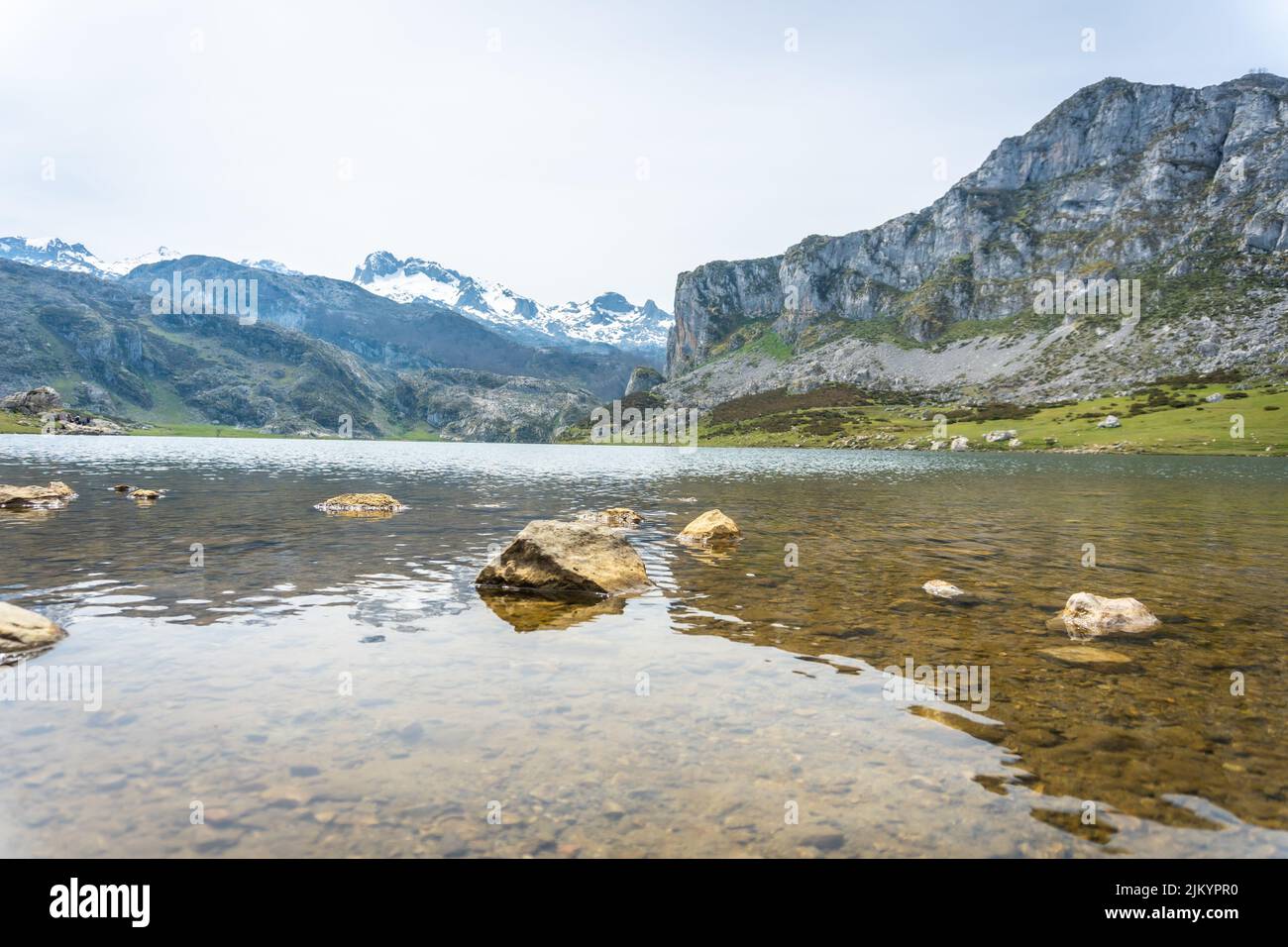 Detalle del Lago Ercina en los Lagos de Covadonga. Asturias. España Foto de stock