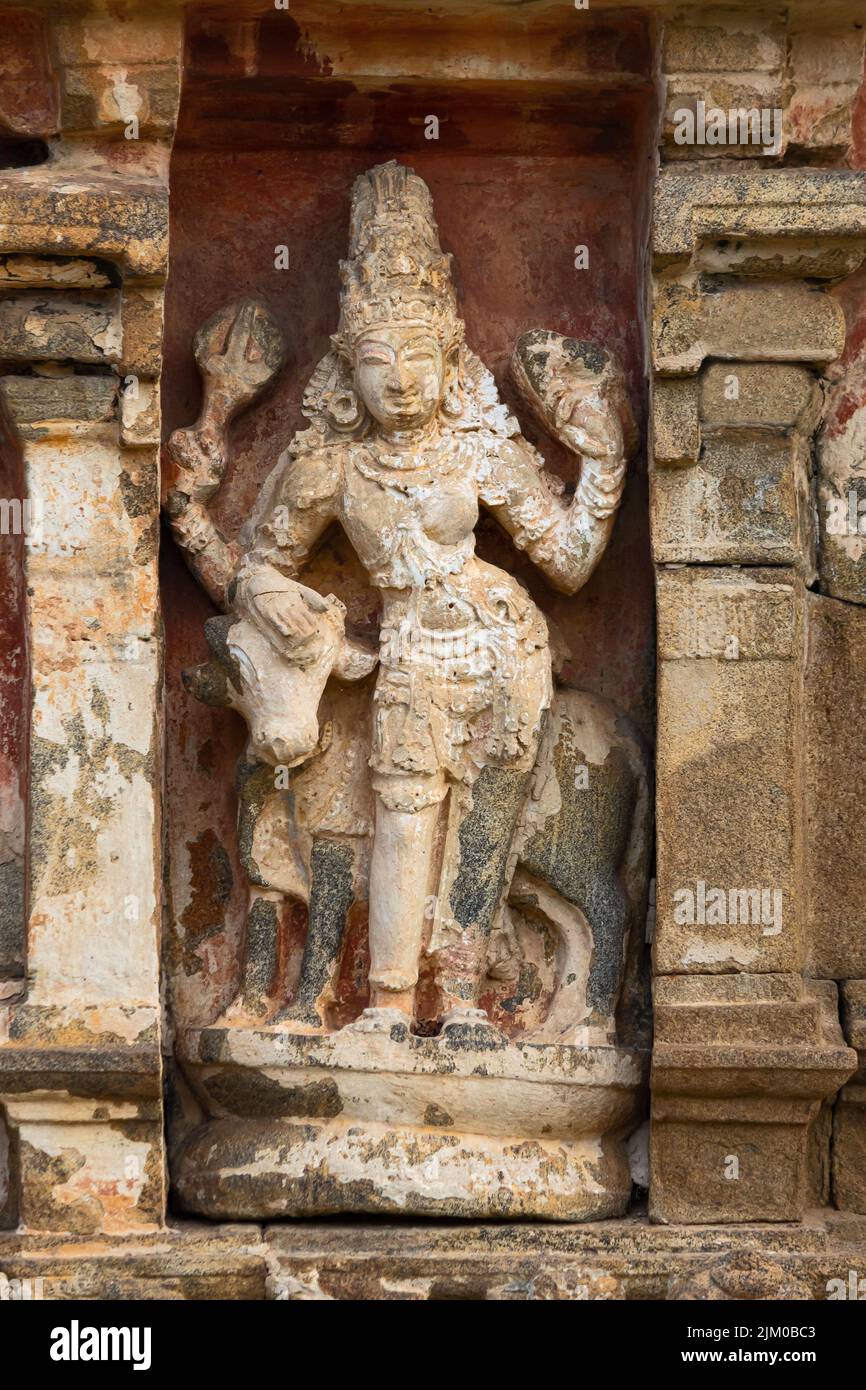 Escultura del Señor Shiva en el Templo de Brihadeshwara Templo, Gangaikonda Cholapuram, Ariyalur, Tamilnadu, India. Foto de stock