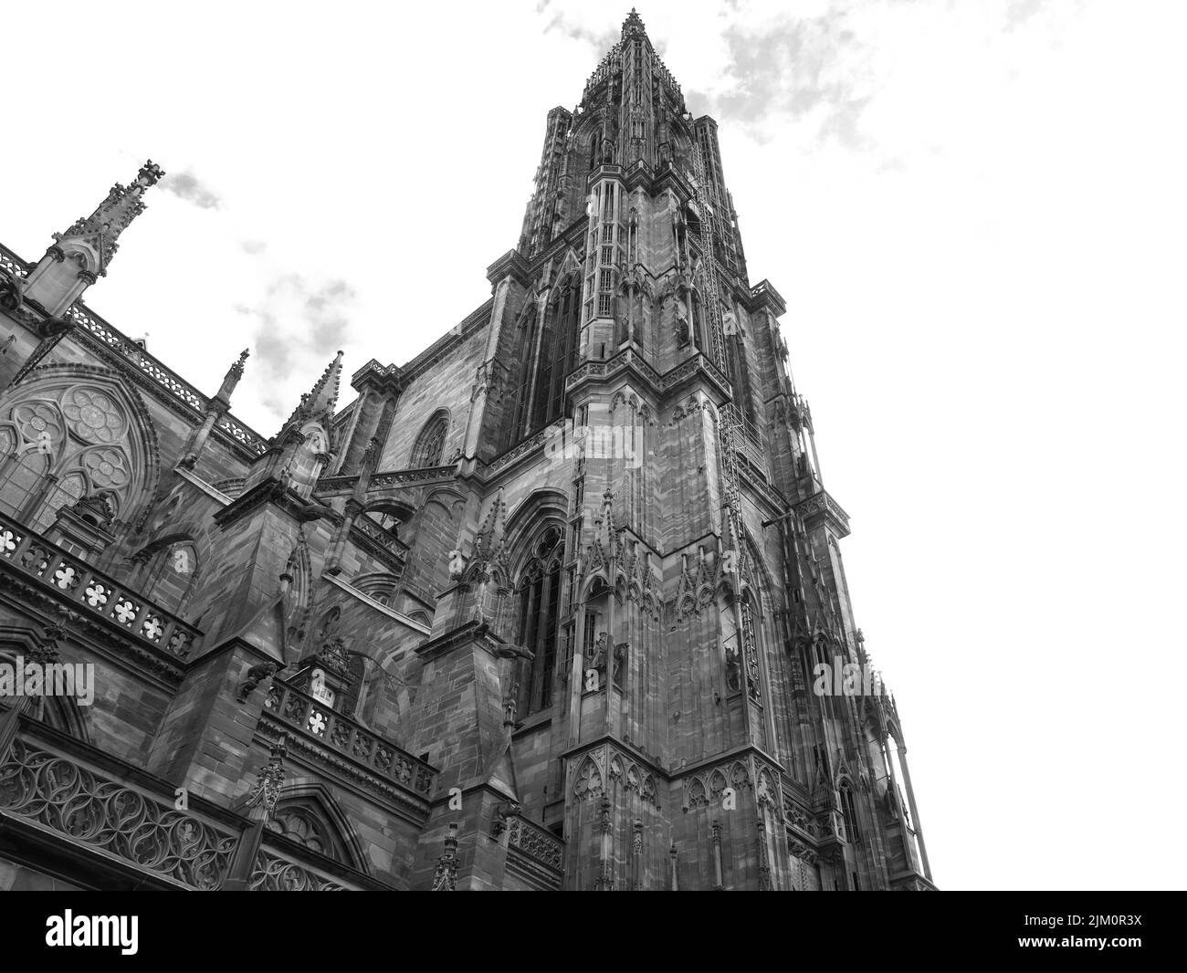Bonita foto de la catedral de Estrasburgo en el noreste de Francia. Vista desde abajo Foto de stock