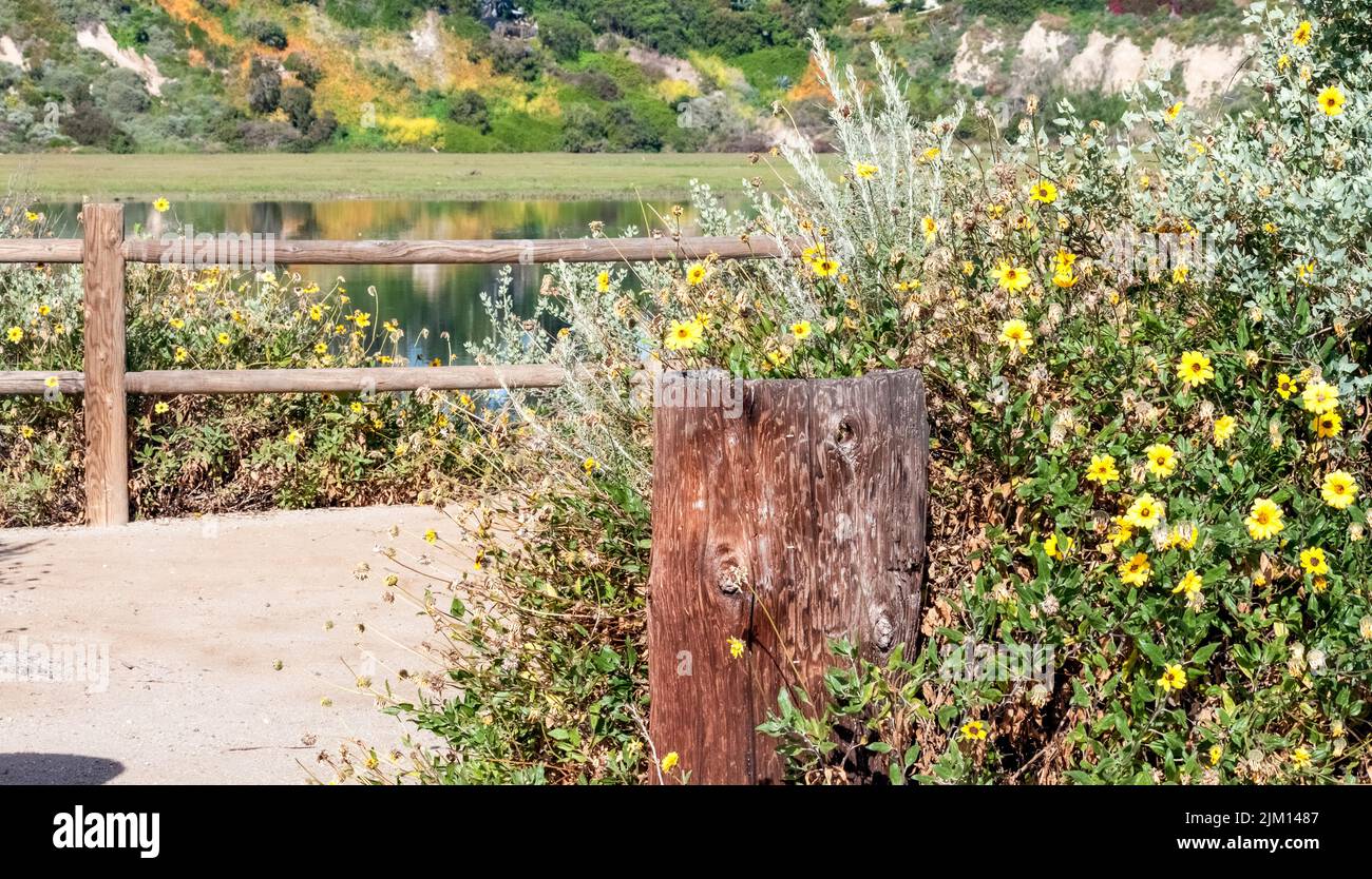 Antigua valla de madera con flores y reflejos de los acantilados en la parte superior de la bahía trasera reserva ecológica en Newport Beach California Foto de stock