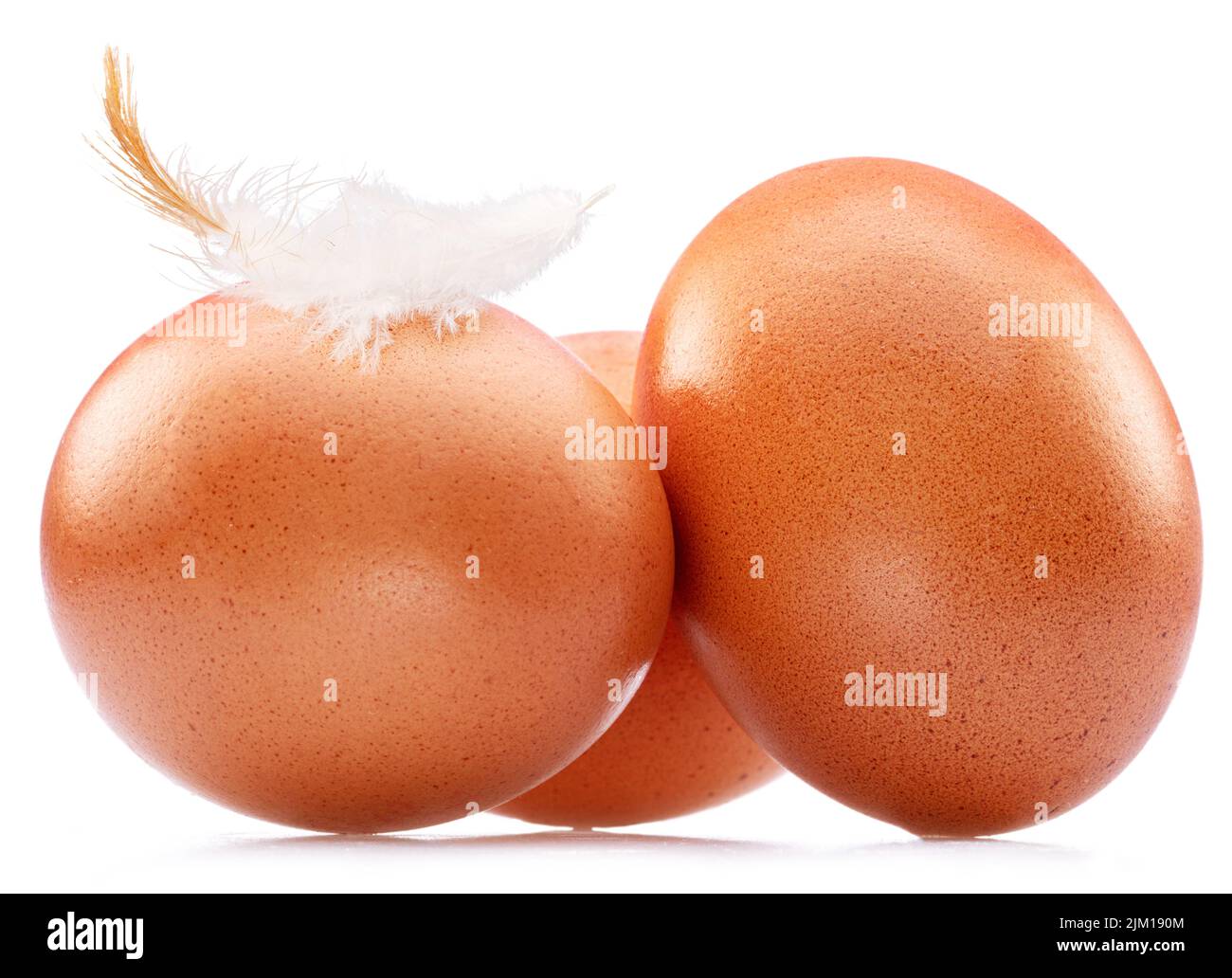 Dore los huevos de pollo con plumas de pollo aisladas sobre fondo blanco. Foto de stock
