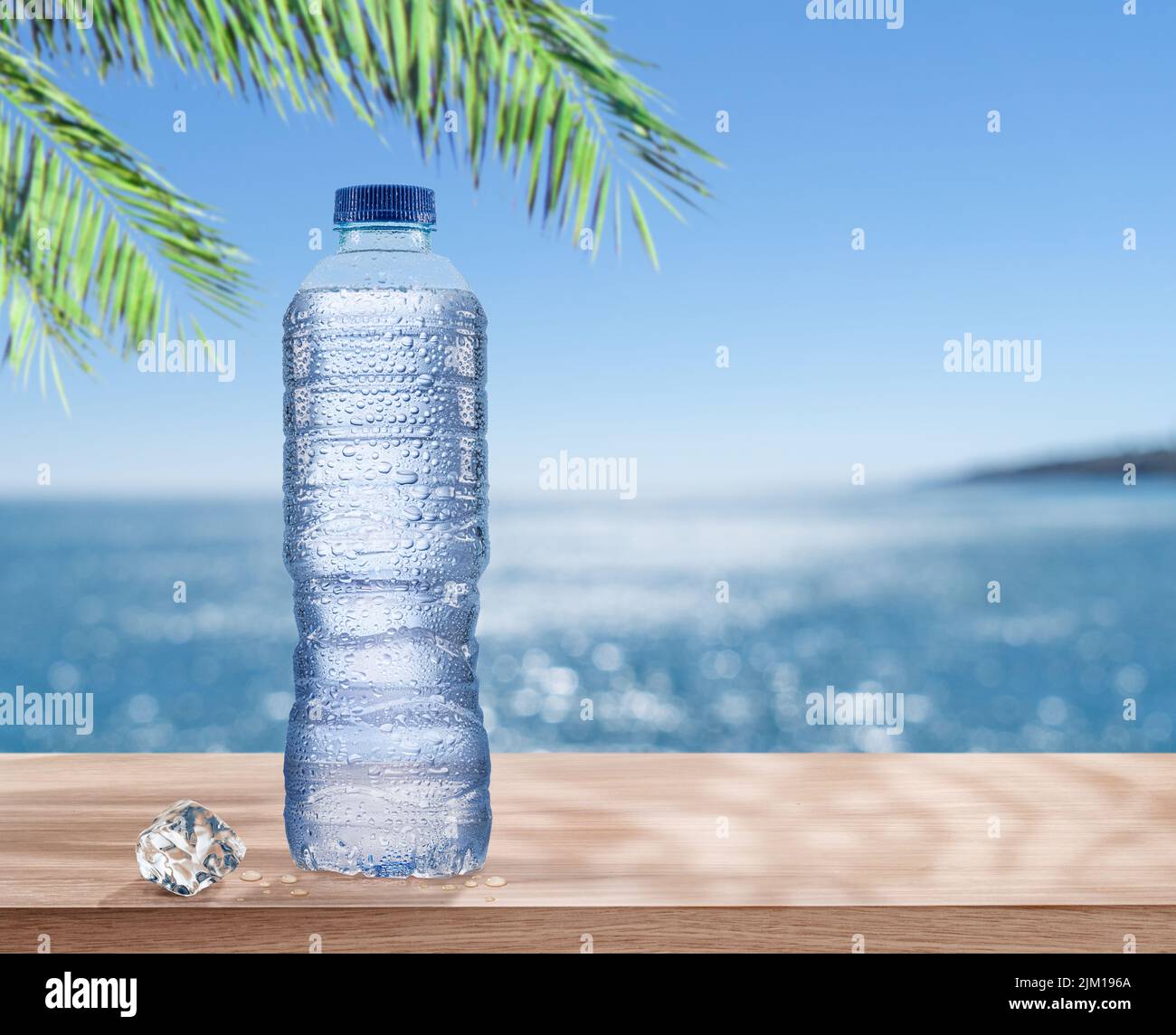 Botella de plástico de agua fría con gotas de condensación bajo la hoja de palma. El mar resplandeciente al fondo. Foto de stock
