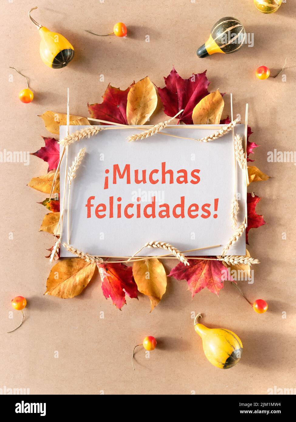 Marco otoñal, texto de bienvenida Muchas felicidades significa felicitaciones en español. Plano con hojas de otoño naturales, Foto de stock