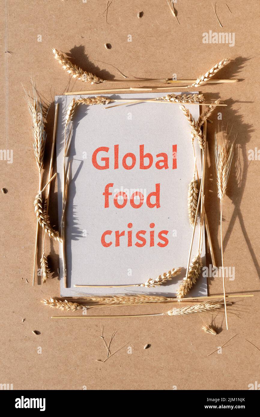 Texto Crisis alimentaria en marco de mazorcas de trigo sobre papel reciclado. Marco natural sobre cartón beige reciclado. Foto de stock