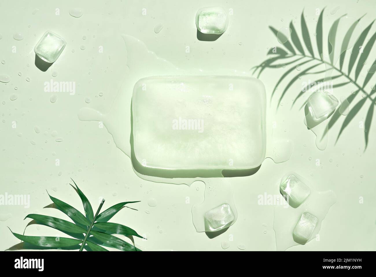 Fondo verde menta de verano con cubitos de hielo y hojas exóticas de palma. Podio de hielo con espacio para sus productos. Foto de stock