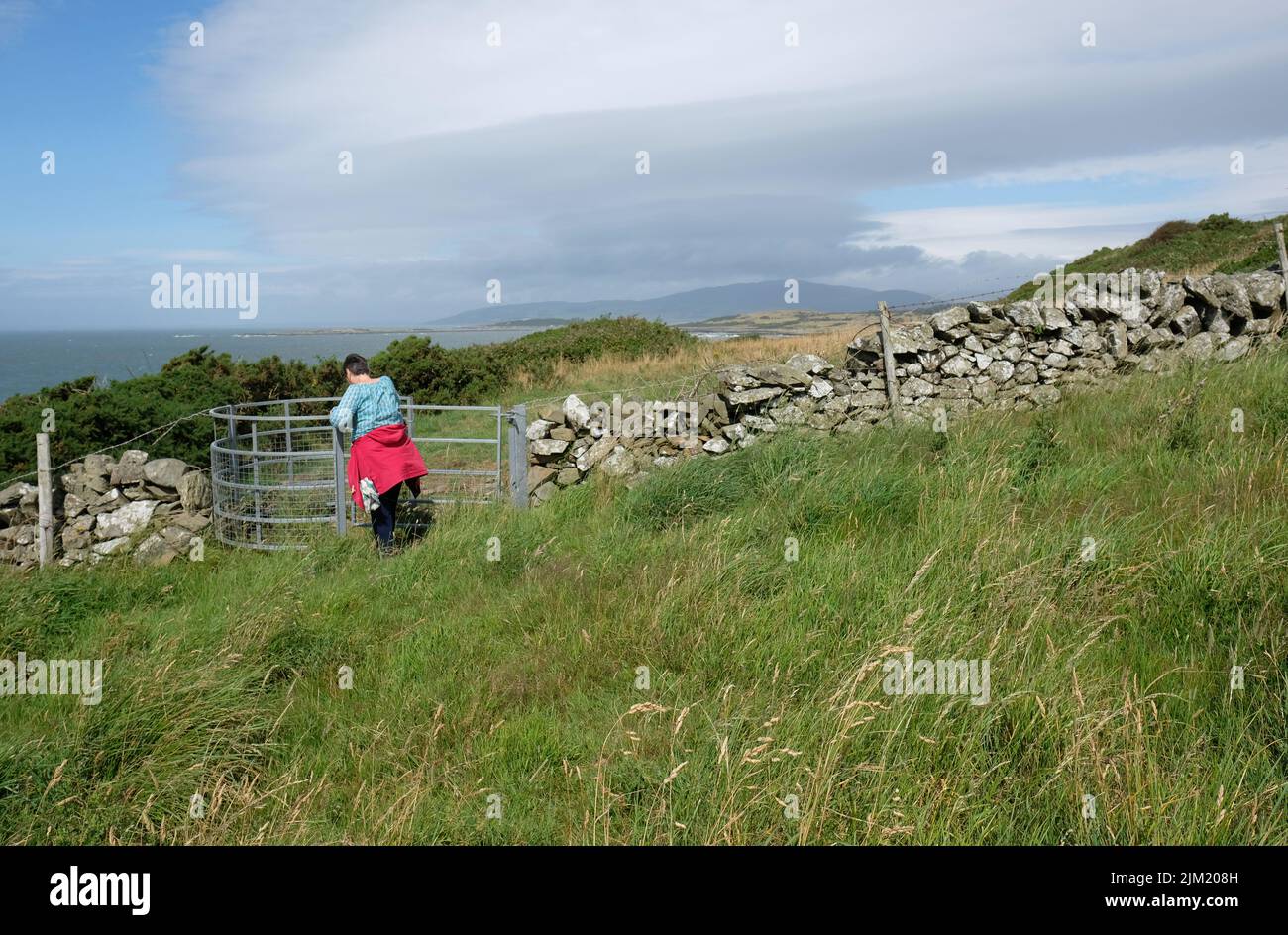 Kirkandrews Escocia - mujer caminando a lo largo de la costa cerca de la aldea de Kirkandrews al lado de Wigtown Bay en julio de 2022 Foto de stock
