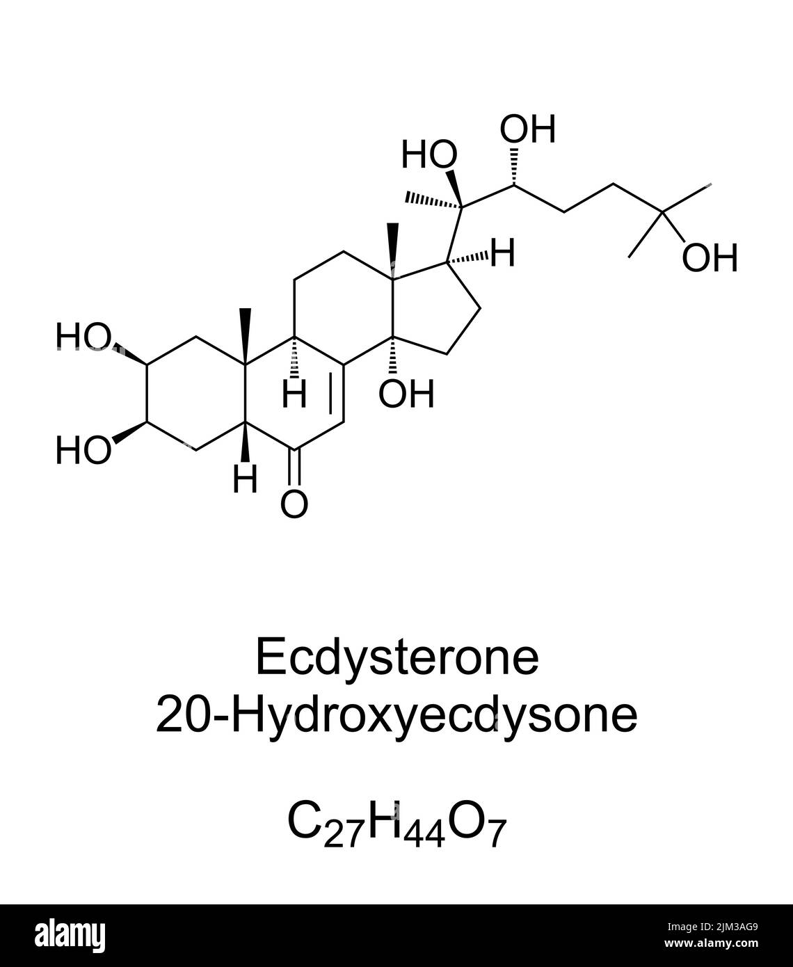 Ecdisterona, fórmula química y estructura. 20-hidroxiecdisona, 20E, una de las hormonas de muda más comunes en los insectos. Se usa como hermona esteroide. Foto de stock
