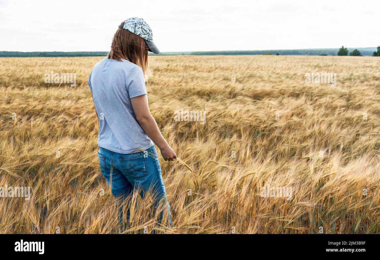 mujer rubia en vaqueros entre el campo de trigo seco de cereales amarillo tocando la agricultura de espigas y cosecha de grano copiar el espacio Foto de stock