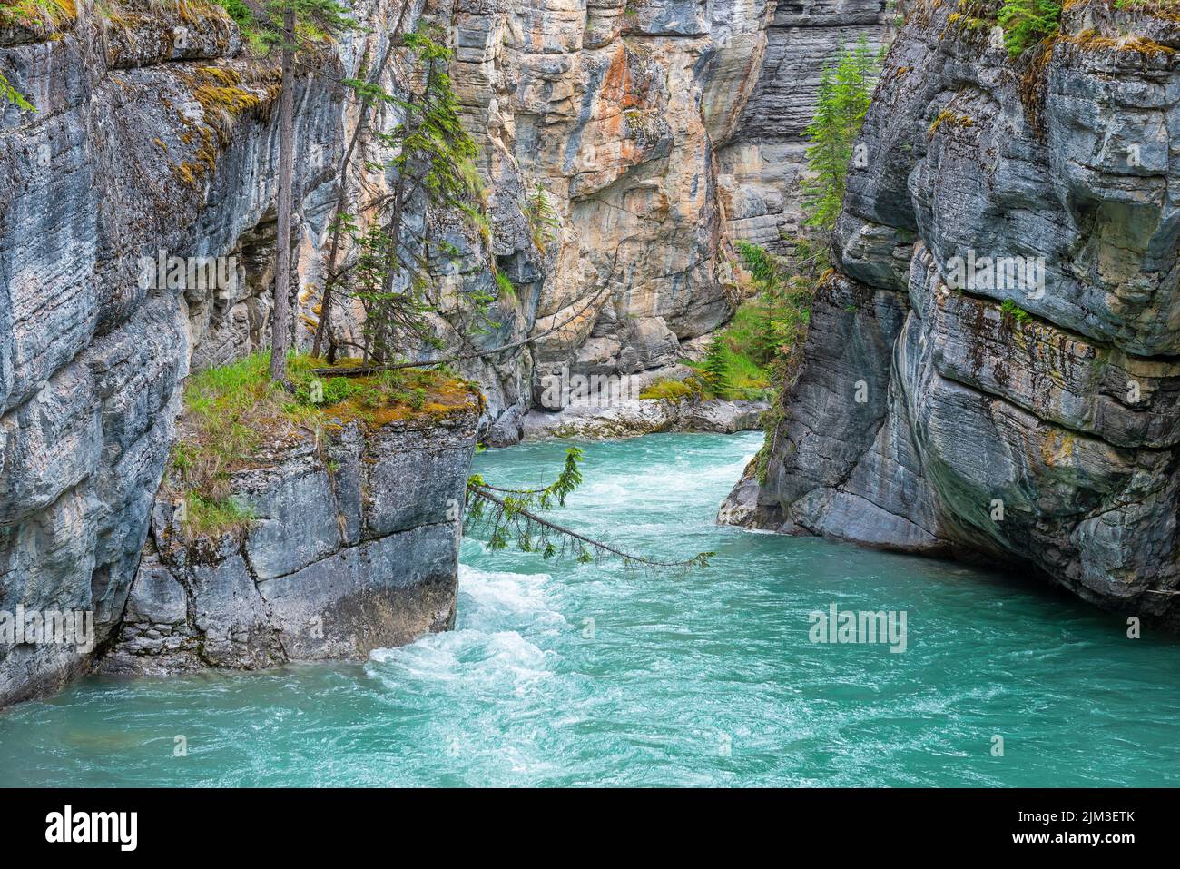 Río Maligne con aguas turquesas en el cañón Maligne, parque nacional Jasper, Alberta, Canadá. Foto de stock