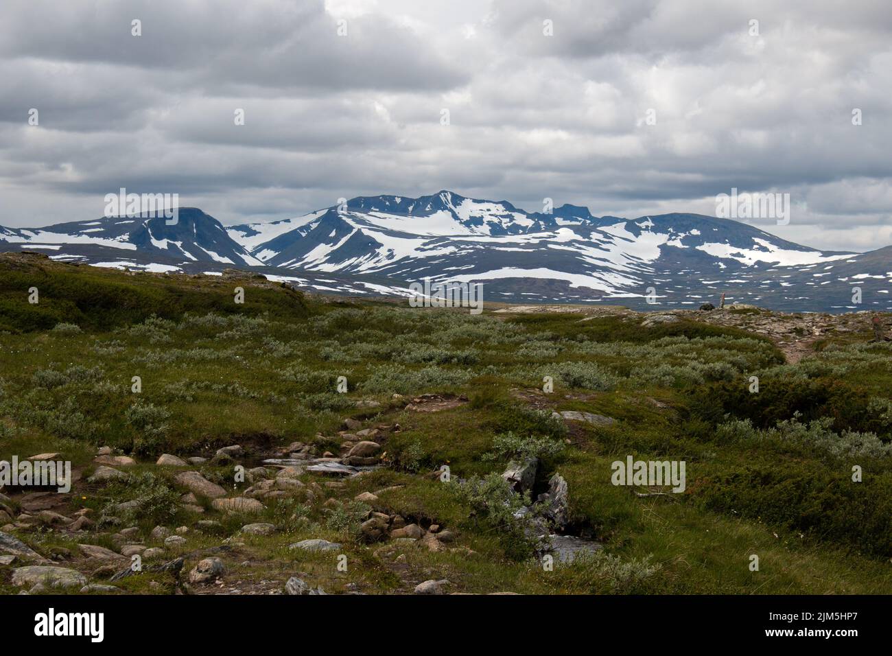La vista del macizo de Sylarna desde la ruta de senderismo entre las estaciones de montaña de Sylarna y Helags a principios de julio, en Jamtland, Suecia Foto de stock