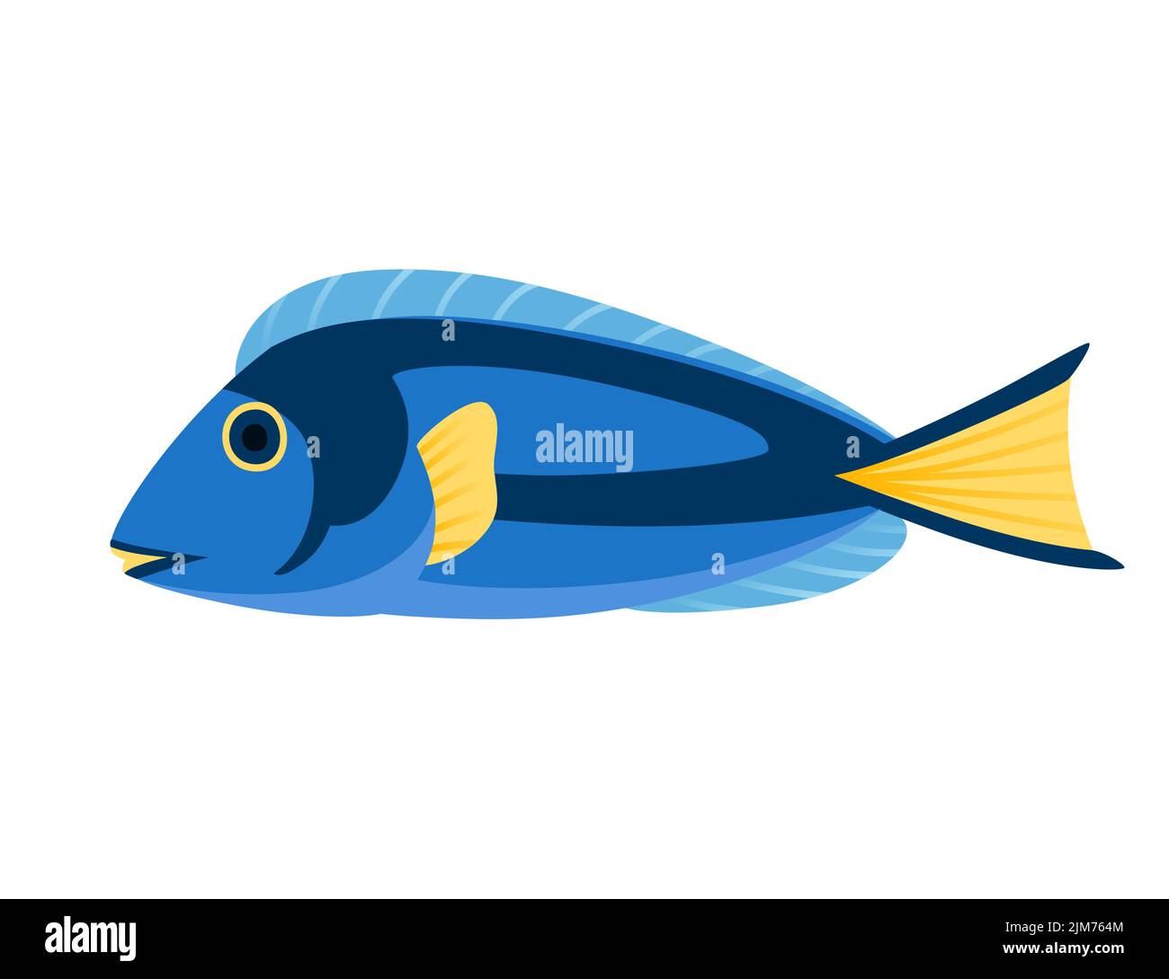 Exótico acuario tropical peces azul tang ilustración vector aislado sobre fondo blanco dibujo animado diseño animal Ilustración del Vector