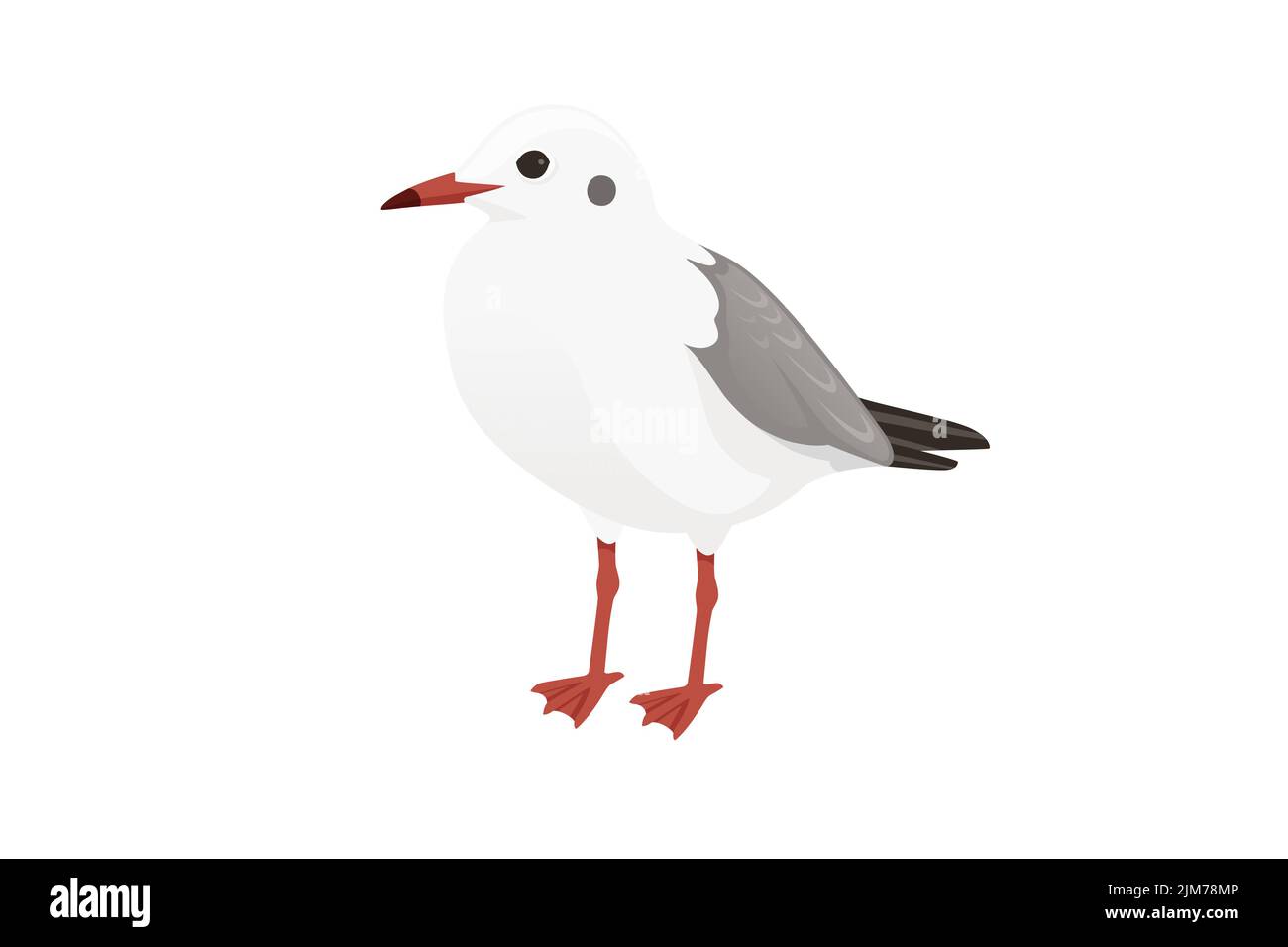 Estilo de dibujos animados gaviotas pájaro vector animal diseño ilustración sobre fondo blanco. Ilustración del Vector
