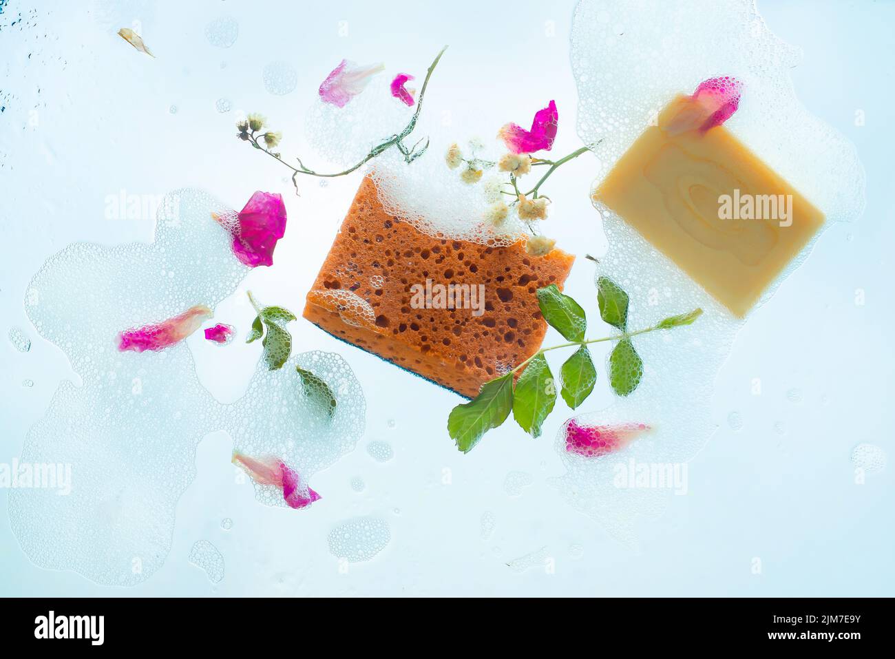 Jabón y esponjas en espuma, lavavajillas delicado, decoración floral, contraluz Foto de stock