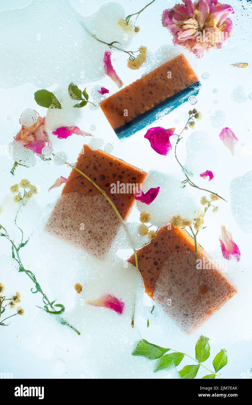 Lavavajillas delicado, esponjas en espuma, fondo transparente, decoración floral Foto de stock