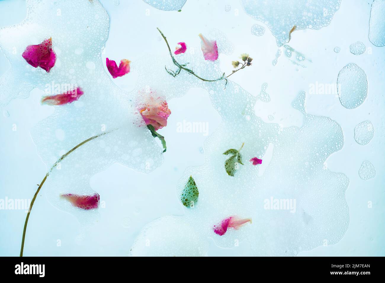 Espuma de jabón, pétalos, flores y hojas, suave cabecera, pureza y ligereza Foto de stock