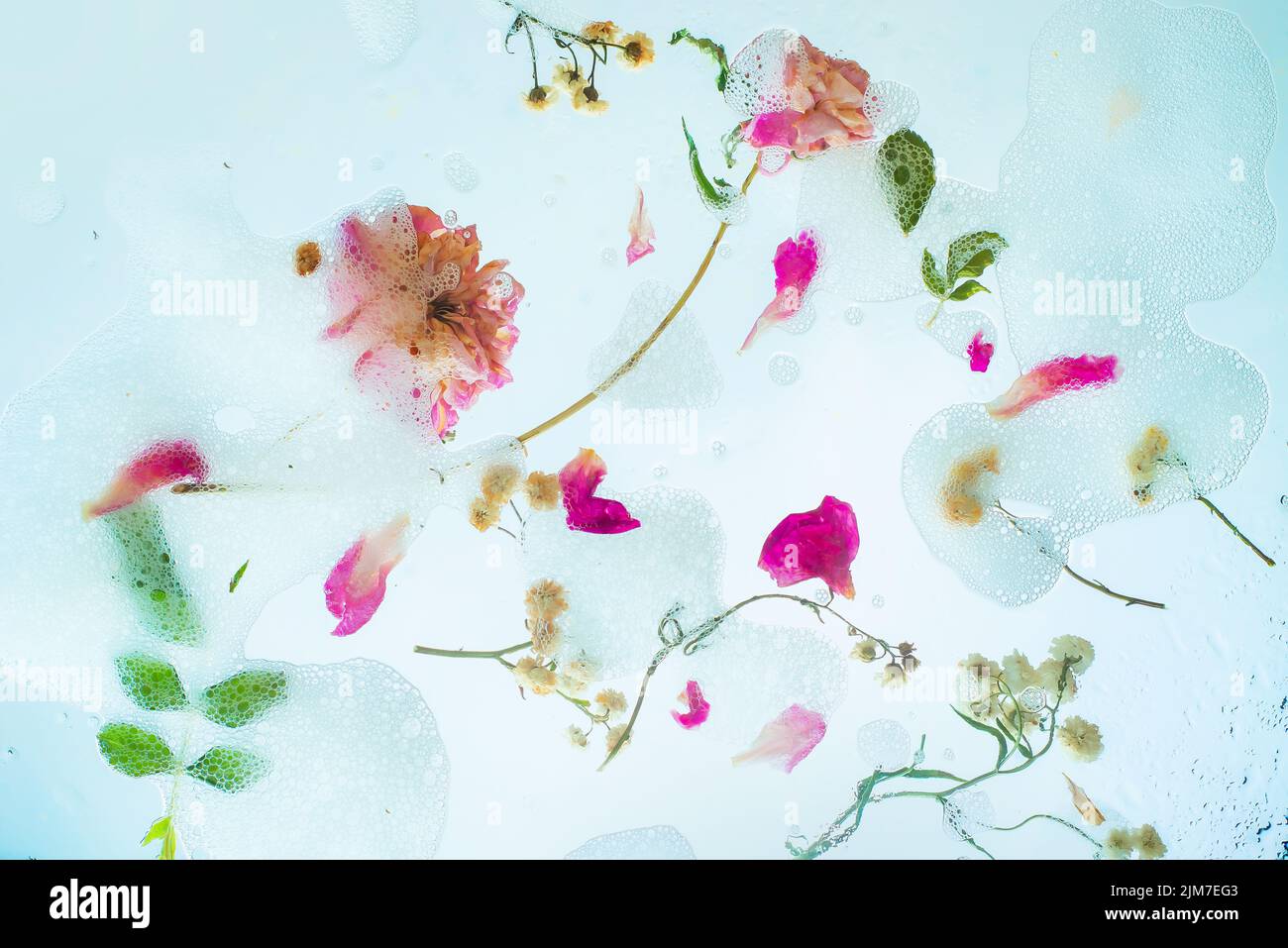 Caos floral, espuma de jabón, pétalos, flores y hojas, suave cabecera, pureza y ligereza Foto de stock
