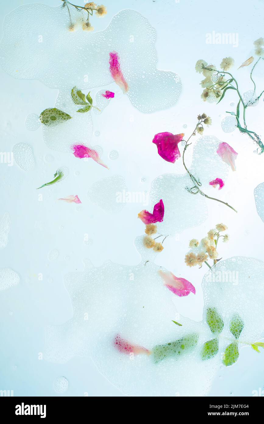 Caos floral, espuma de jabón, pétalos, flores y hojas, suave cabecera, pureza y ligereza Foto de stock