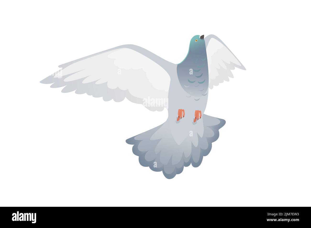 Paloma gris con cabeza verde volando ciudad paloma pájaro vector ilustración dibujo animado diseño animal Ilustración del Vector