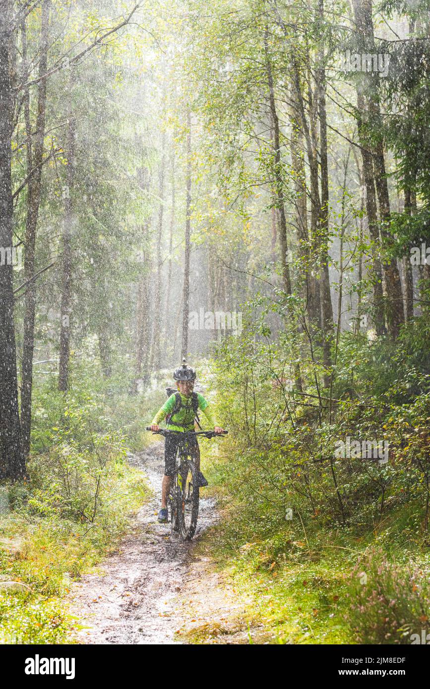 Niño ciclismo mountain bike en el bosque Foto de stock