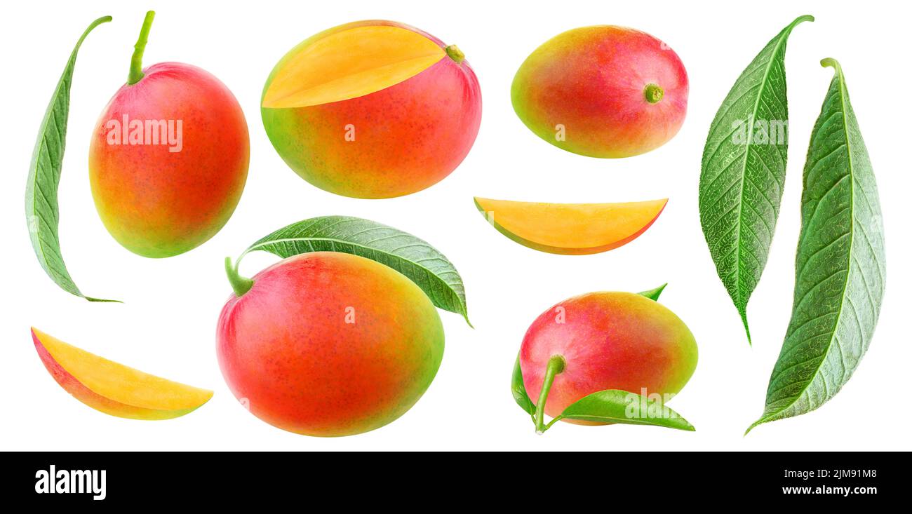 Colección aislada de mango. Mango multicolor rojo y verde de diferentes formas, piezas y hojas aisladas sobre fondo blanco Foto de stock