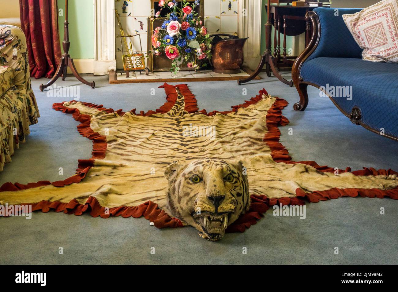 Piel de tigre en el Salón Skaill House Orkney Islan Foto de stock