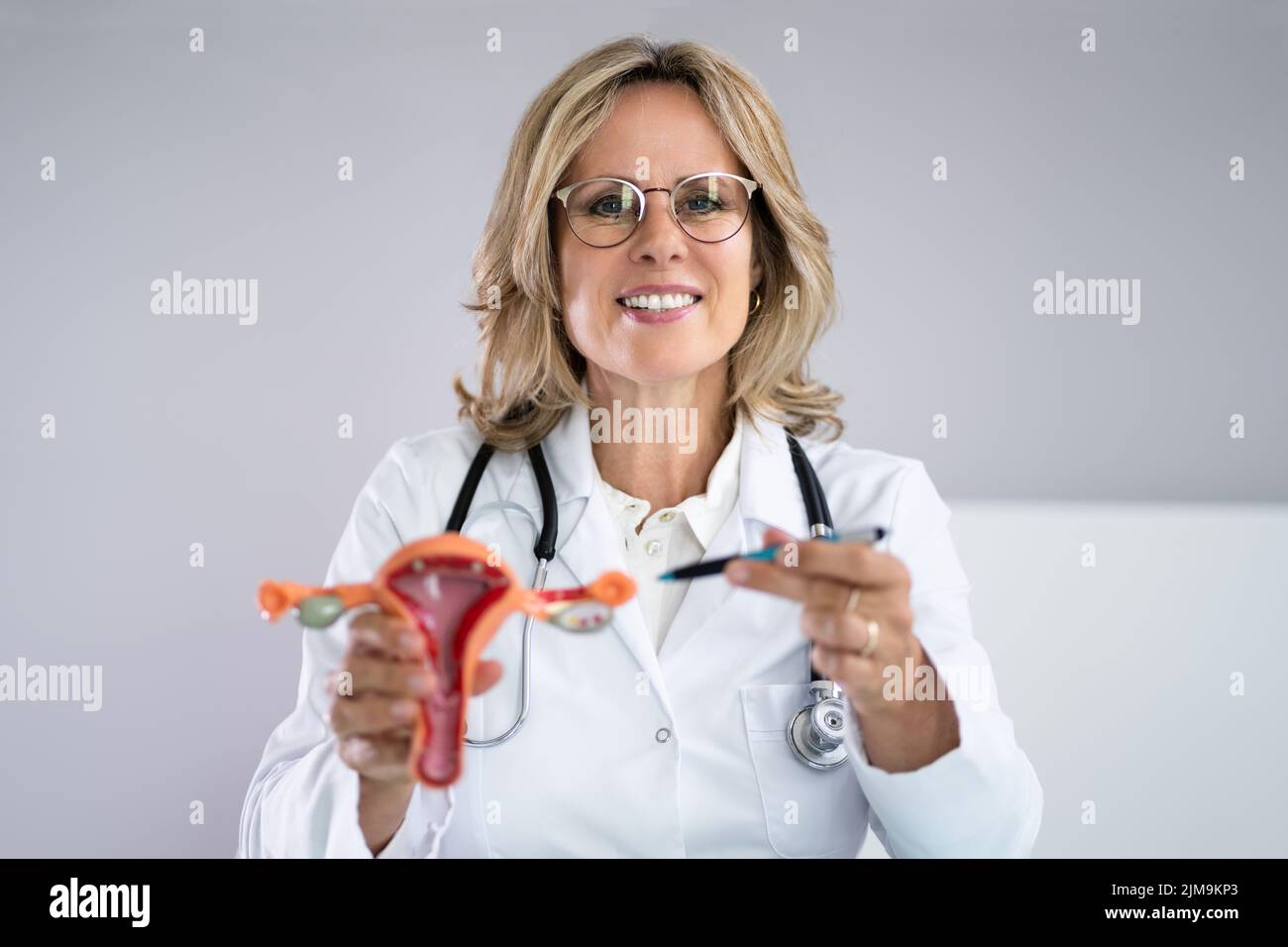 Útero Anatomía reproductiva femenina. Ginecología Uterina Saludable Foto de stock
