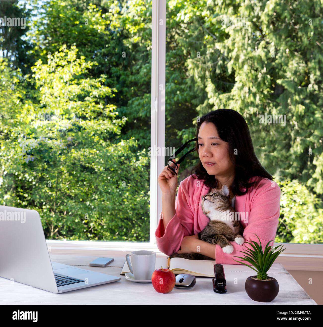 Mujer madura sosteniendo a su gato de la mascota mientras que trabaja de hogar en traje de la mañana Foto de stock
