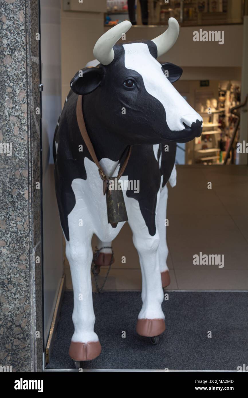 Un plano vertical de una vaca de tamaño natural en la puerta de una tienda de Madrid, España Foto de stock
