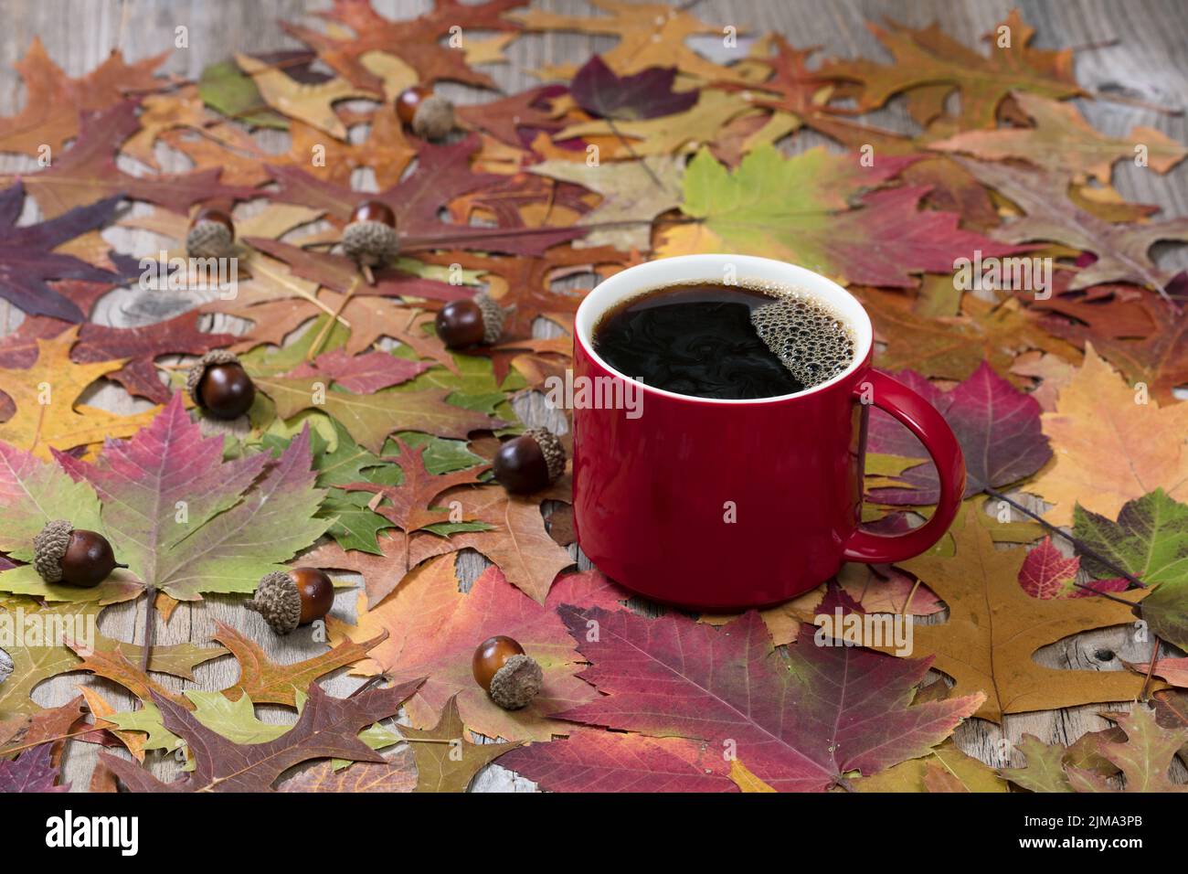 Gran taza roja de café oscuro caliente y hojas otoñales sobre rústicas tablas de madera Foto de stock