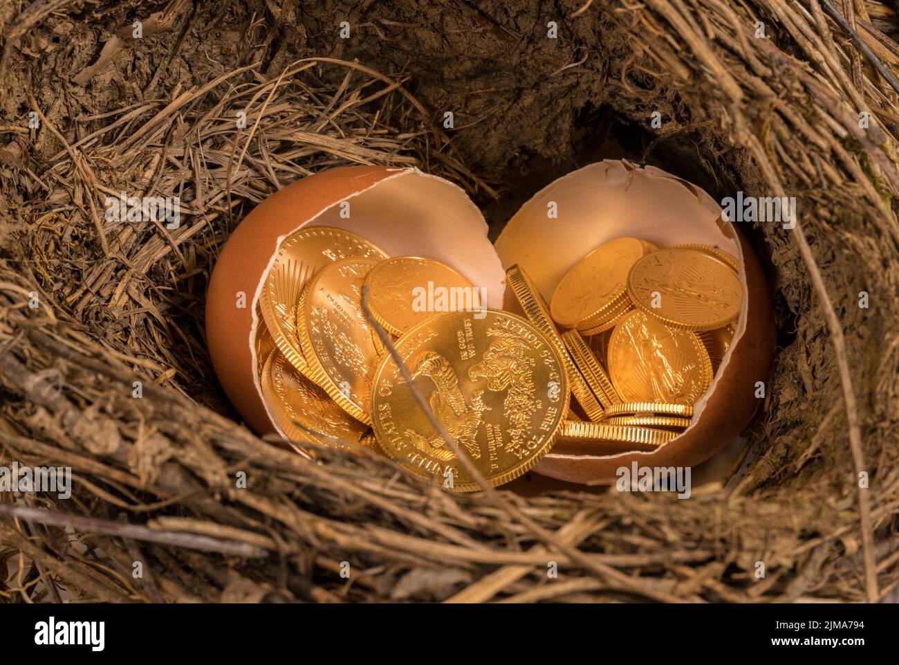 Monedas de oro puro en cáscara de huevo ilustrando el huevo del nido Foto de stock