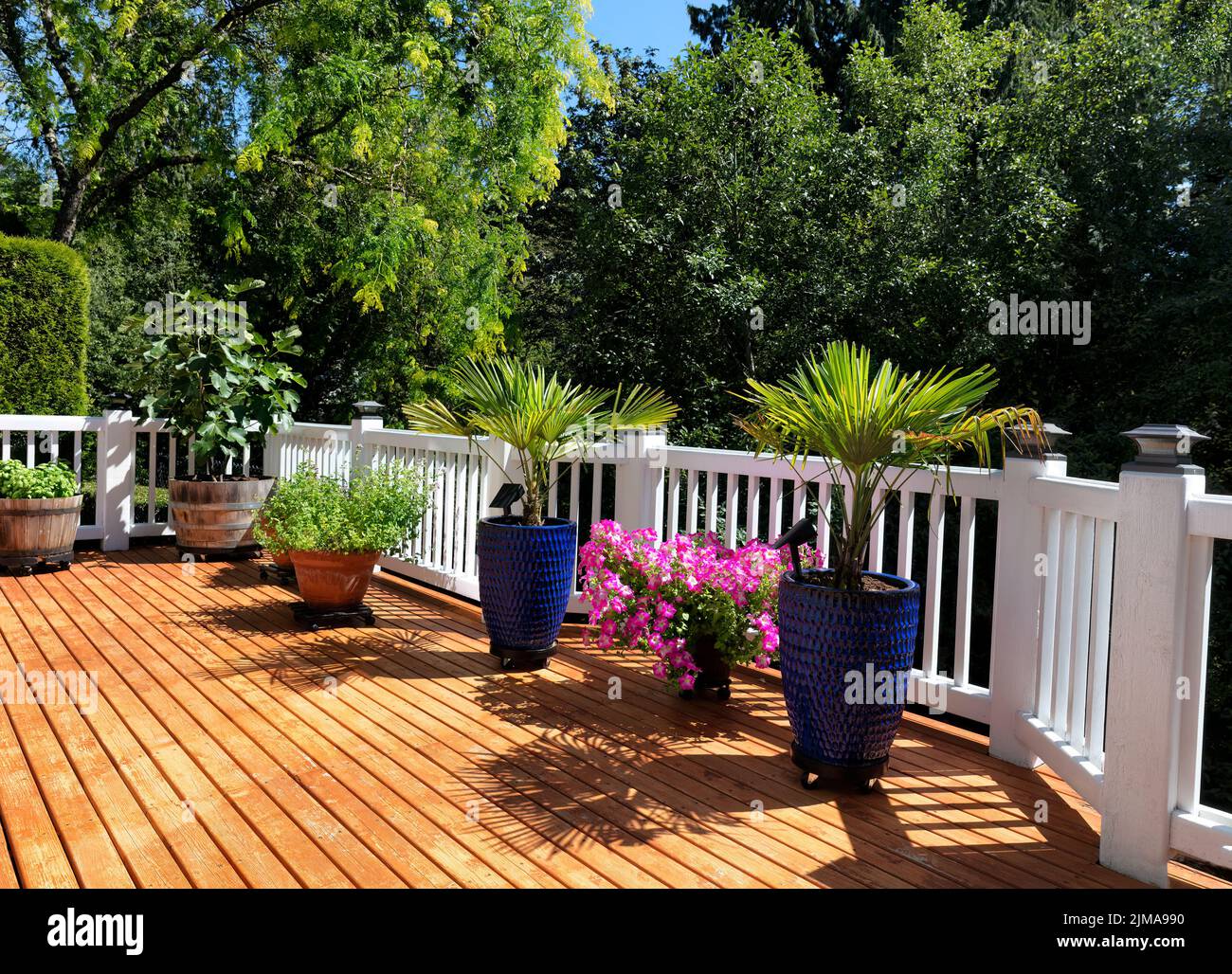 Jardín de la casa en una terraza de madera de cedro al aire libre durante el verano Foto de stock