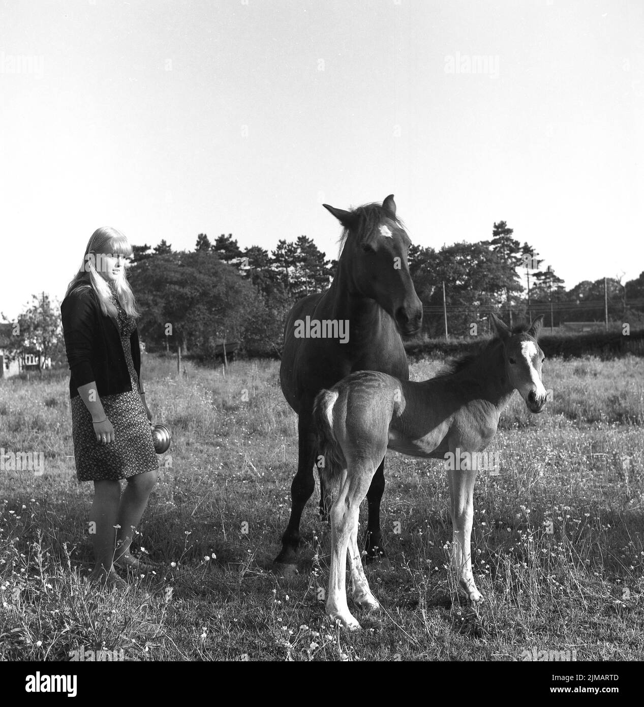 1969, histórico, una joven mujer parada en un campo junto a un caballo y su potro, Inglaterra, Reino Unido. Foto de stock